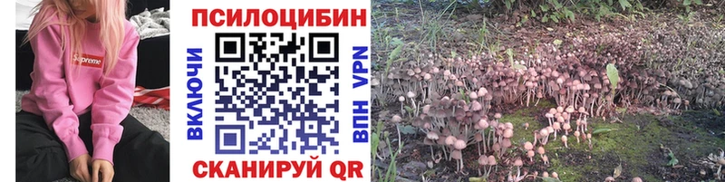 мега   Лесозаводск  Галлюциногенные грибы Psilocybine cubensis  наркошоп 